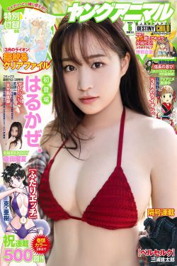苦菜花