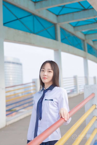 掌中之物电视剧在线观看免费