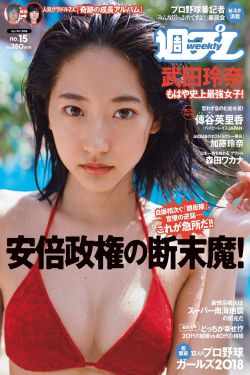 双面神探电视剧免费观看完整版