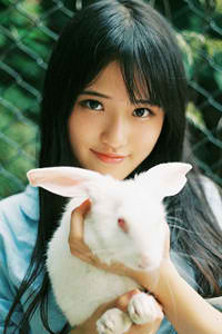 电视剧黑色郁金香