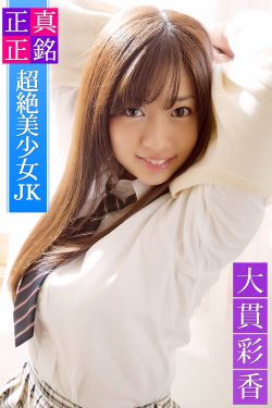 孪生公主第一部中文版